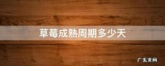草莓成熟周期多少天 草莓生长周期多长时间
