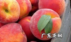 吃桃子过敏怎么办 吃桃子过敏该怎么办