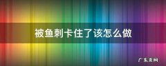 被鱼刺卡住了怎么弄 被鱼刺卡住了该怎么做