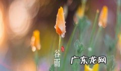 谷雨的面膜敷完需要洗脸吗 谷雨的面膜敷完需要洗脸吗女生