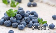 蓝莓生长过程图 蓝莓生长过程