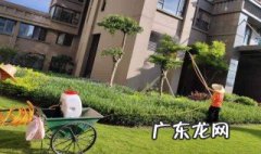 小区树木修剪方案 小区树木修剪标准需要注意什么