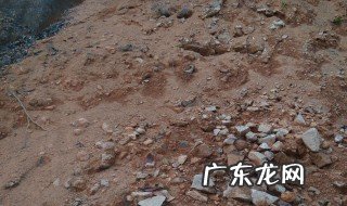 山土是什么土质 山土念什么