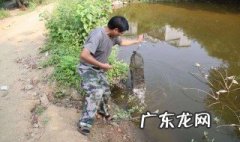 怎样用小虾钓鱼 钓小虾怎么钓