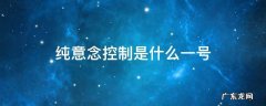 纯意念控制是什么一号 纯意念控制系统是什么一号