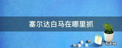 塞尔达白马怎么捉 塞尔达白马在哪里抓