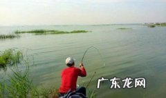 钓鱼小技巧 钓鱼小技巧野外钓