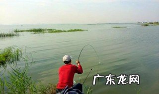 钓鱼小技巧 钓鱼小技巧野外钓