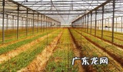温室大棚薄膜怎么盖 温室大棚怎么盖塑料布