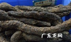 肉苁蓉几月份采挖 肉苁蓉的采收季节