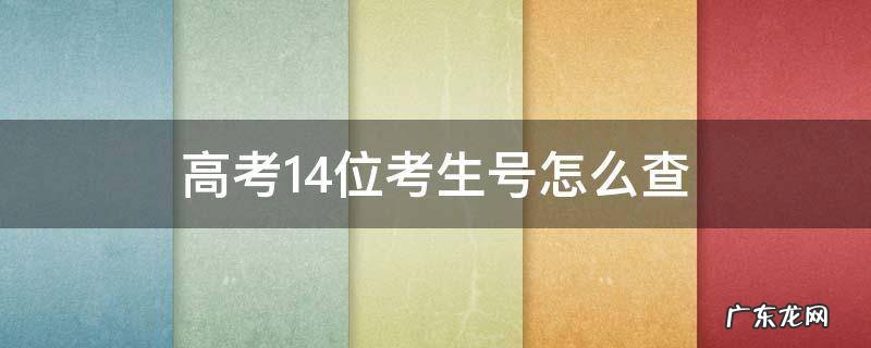 高考14位考生号怎么查 14位考生号在哪查
