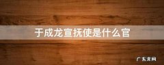 于成龙宣抚使是什么官 于成龙直隶巡抚是什么官