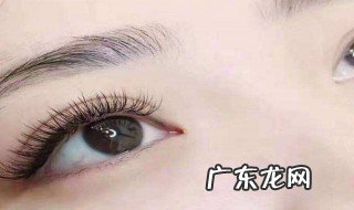 yy睫毛和开花有什么区别图片 yy睫毛和开花有什么区别