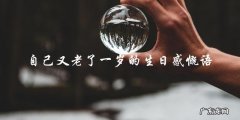 岁月无情，自己又老了一岁，生日感慨语让人深思不已！