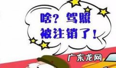 注销驾照 驾驶证注销了怎么办