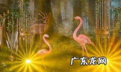 怎么用MT管理器修改i主题 mt管理器修改主题教程