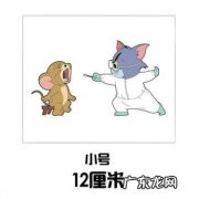 京东可以买哪些宠物？10元一只的鹦鹉、猫和老鼠&#8230;
