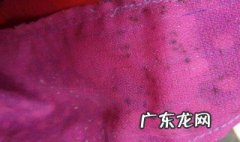 怎么样去除衣服上的霉斑 霉斑怎么洗掉