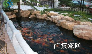 景观池青苔怎么清除 景观池青苔怎么清除掉