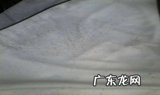 怎么预防床单上的霉点 怎么防止床单弄脏