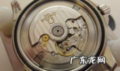 手表脏了如何清洗塑胶 手表脏了如何清洗塑胶