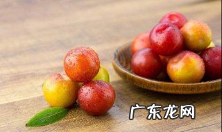 李子是什么季节的 李子是什么季节的水果