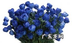 蓝色花瓶配什么颜色花 蓝色花瓶配什么颜色花好看图片