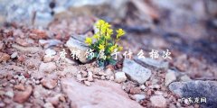 七度银饰属于什么档次
