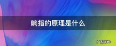 响指的原理是什么 响指是指什么