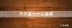 齐天磊为什么装病 齐天磊性格