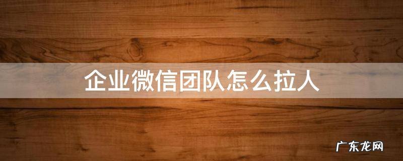 企业微信怎么拉个人微信 企业微信团队怎么拉人