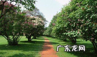 果树种植能用防草布吗 果树种植能用防草布吗