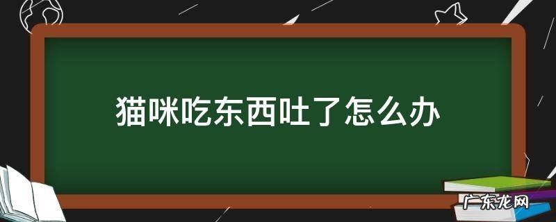猫咪吃东西吐了怎么办 猫咪吃了东西后就吐怎么办