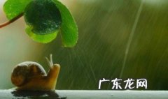 蜗牛为什么会脱壳呢 蜗牛为什么会脱壳呢视频
