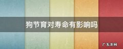狗节育对寿命有影响吗 狗狗绝育好不好
