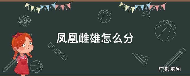 凤凰雌雄怎么分 凤凰凤是雌的还是雄的