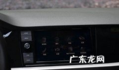 什么是DSG和TSI