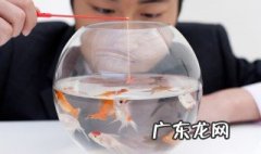 闷热天气适合钓鱼吗? 闷热天气适合钓鱼吗