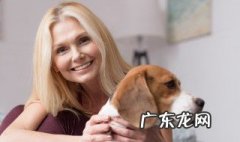 12种最适合懒人养的狗狗 适合家养的短毛小型犬