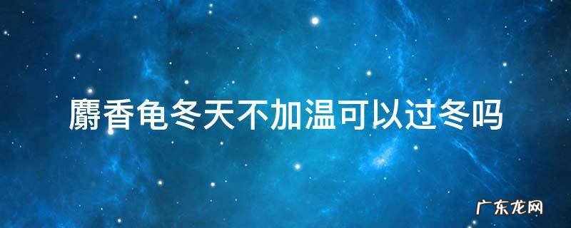 麝香龟要加温过冬吗 麝香龟冬天不加温可以过冬吗