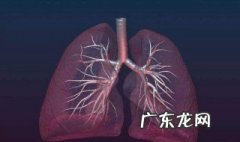 肺泡外面包绕着丰富的什么 肺泡外面包绕着丰富的什么组织