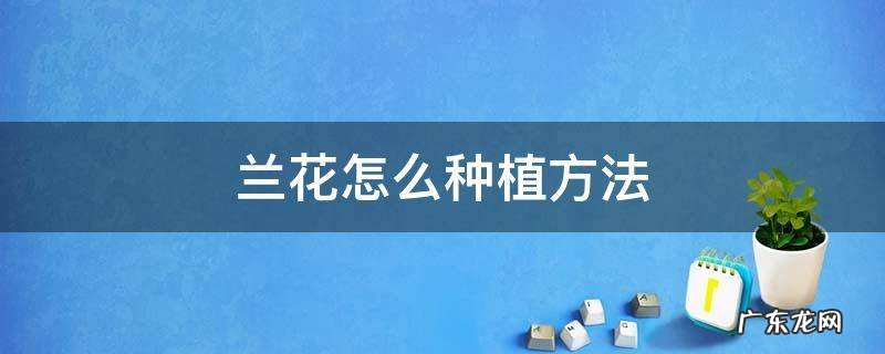 兰花怎么种植方法 兰花怎么种植方法和注意事项