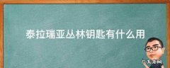泰拉瑞亚丛林钥匙有啥用 泰拉瑞亚丛林钥匙有什么用