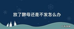 放了酵母不会发怎么办 放了酵母还是不发怎么办