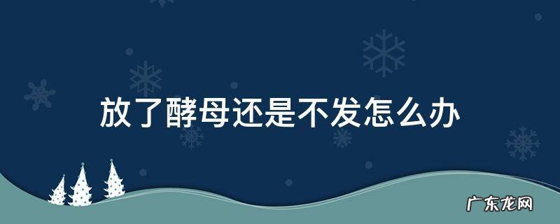 放了酵母不会发怎么办 放了酵母还是不发怎么办