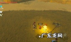 塞尔达荒野之息和旷野之息有什么区别 塞尔达荒野之息和旷野之息区别在哪里