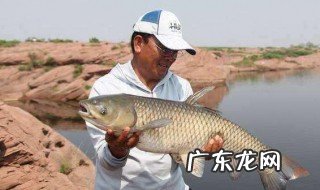 串钩钓草鱼技巧视频 串钩钓草鱼技巧