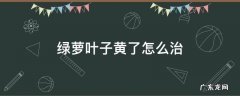 绿萝叶子发黄了怎么办 绿萝叶子黄了怎么治
