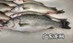 鲈鱼搭配什么蔬菜营养 鲈鱼搭配什么蔬菜营养好
