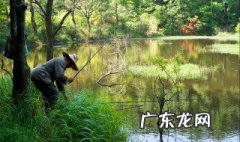 水草多怎么钓鱼 水草多如何钓鱼